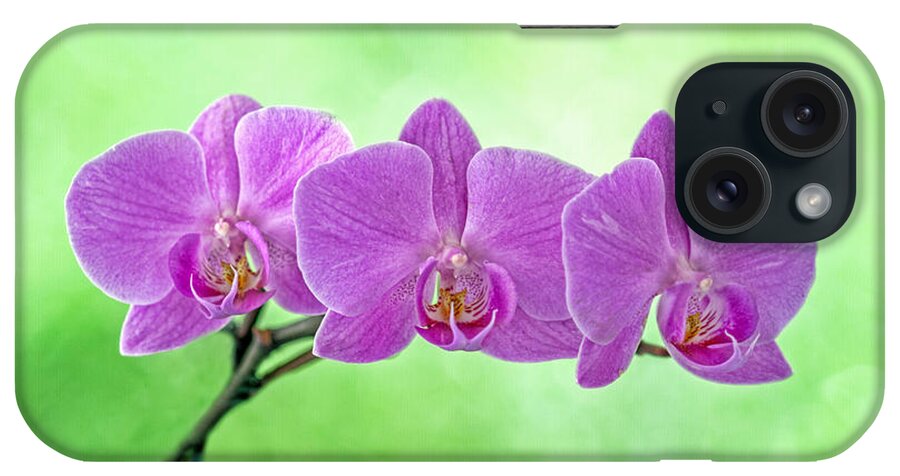 Beautiful Flower iPhone Case featuring the photograph Pink Orchids by Alana Ranney
