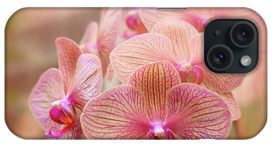 Bloom iPhone Case featuring the photograph Pink Orchids by Robert FERD Frank