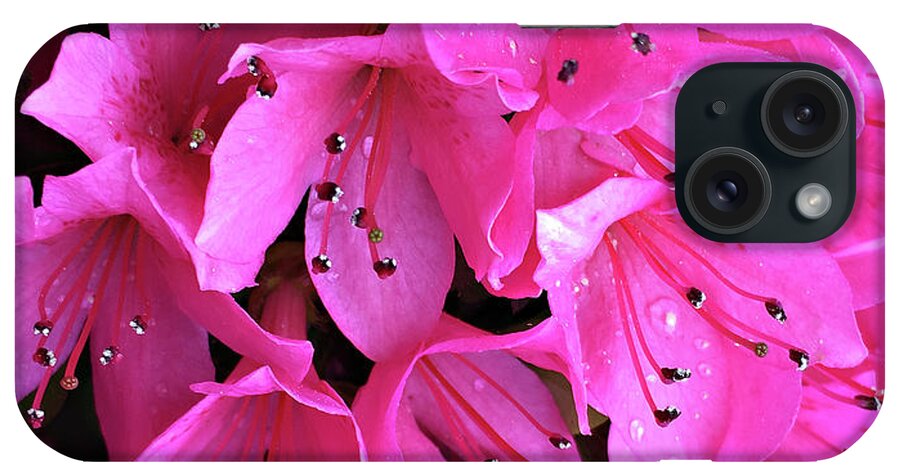 Flower iPhone Case featuring the photograph Pink Passion in the Rain by Sherry Hallemeier