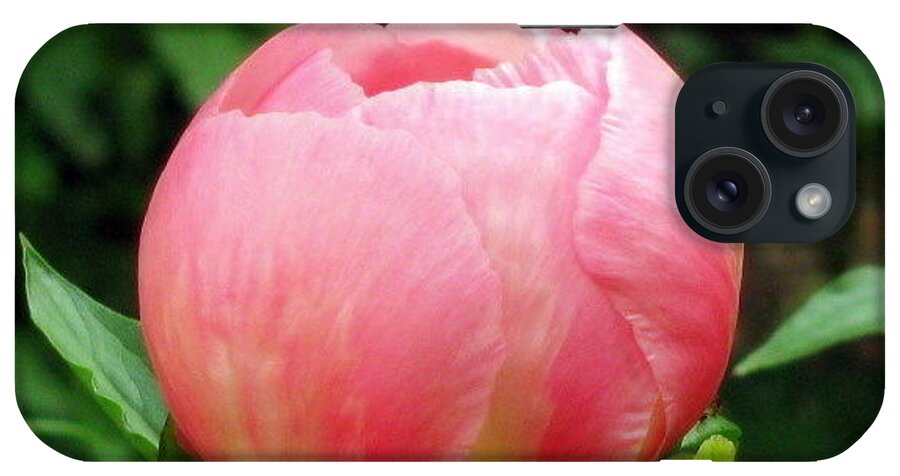 Flowers iPhone Case featuring the photograph Pink Peony by Deborah Crew-Johnson