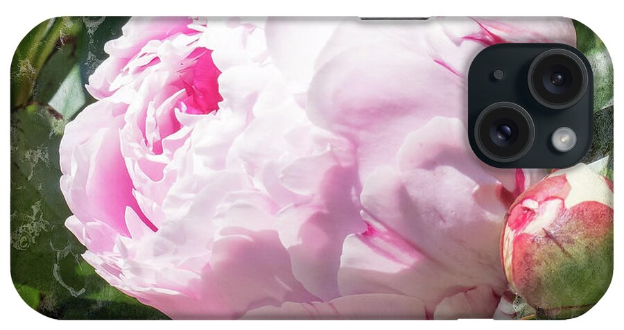 Pink Peony iPhone Case featuring the photograph Pink Peony IIl by Scott and Dixie Wiley