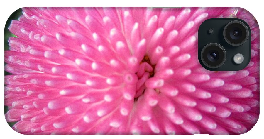  iPhone Case featuring the photograph Pink pompon by Vesna Martinjak