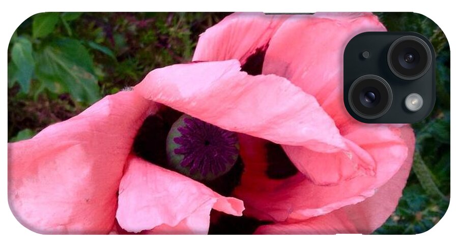 Pink Poppies iPhone Case featuring the photograph Pink Poppy by Joan-Violet Stretch