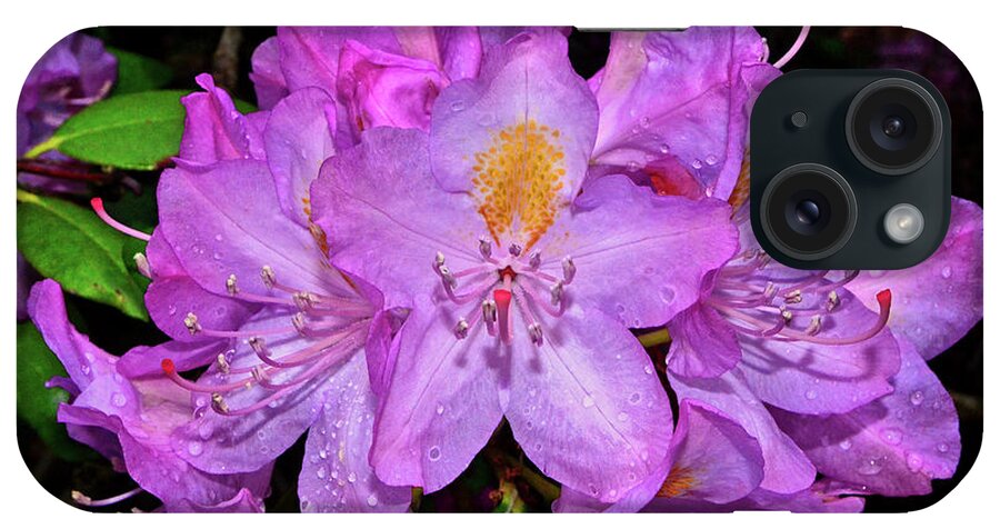 Flower iPhone Case featuring the photograph Pink Rhododendron 003 by George Bostian