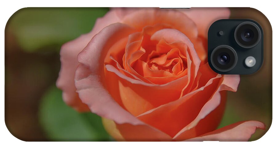 Rose iPhone Case featuring the photograph Pink Rose 2 by Rick Mosher
