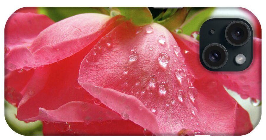 Rose iPhone Case featuring the photograph Pink Rose 3 by Kim Tran