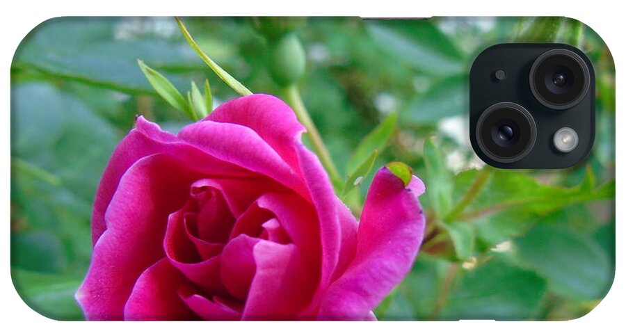William Baffin Rose iPhone Case featuring the photograph Pink Rose and Buds by Susan Lafleur