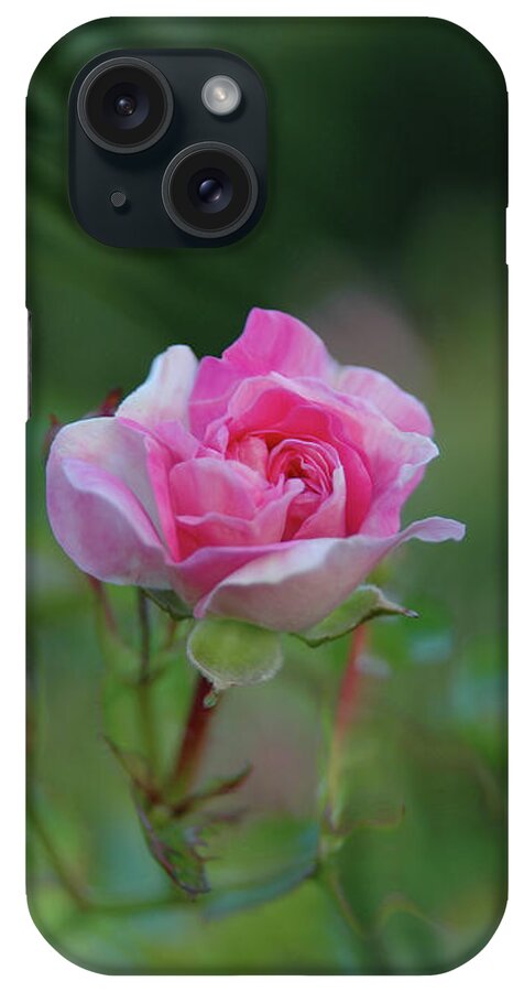 Pink iPhone Case featuring the photograph Pink Rose by Elaine Hunter