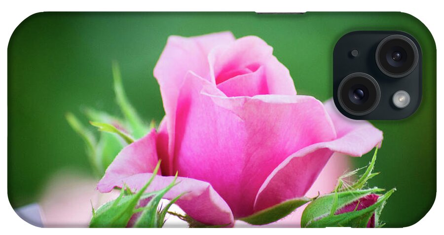 Pink iPhone Case featuring the photograph Pink Rose by Steph Gabler