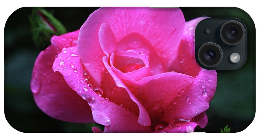 Roses iPhone Case featuring the photograph Pink Rose with Raindrops by Trina Ansel