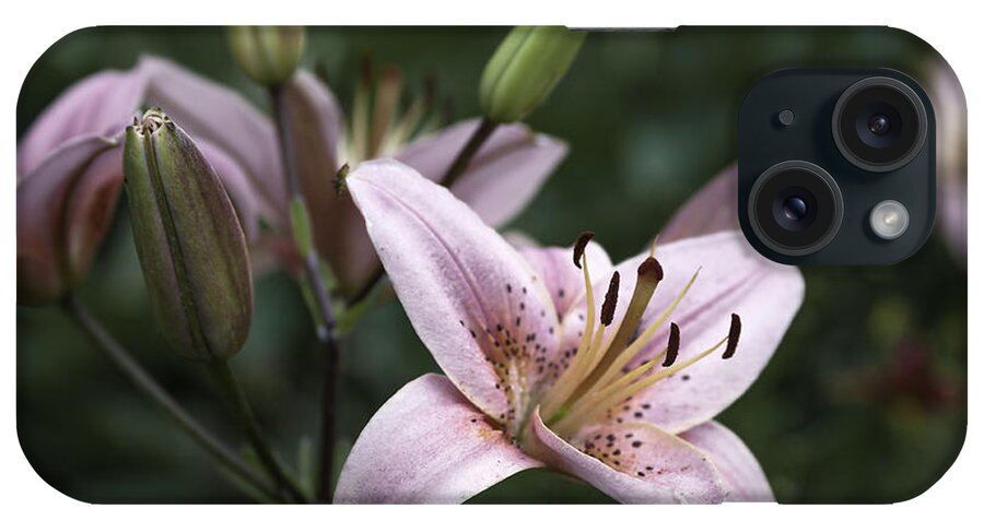 Flower iPhone Case featuring the photograph Pink Tiger Lily by Jason Moynihan
