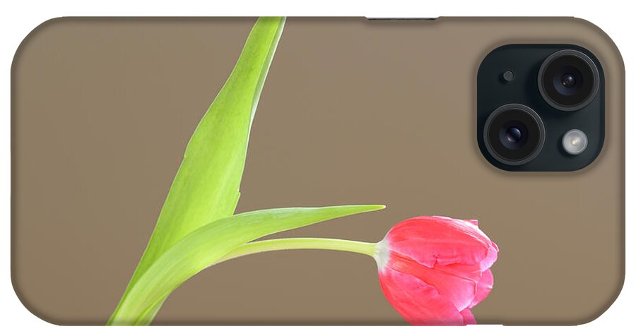 Pink iPhone Case featuring the photograph Pink Tulip by Alana Ranney