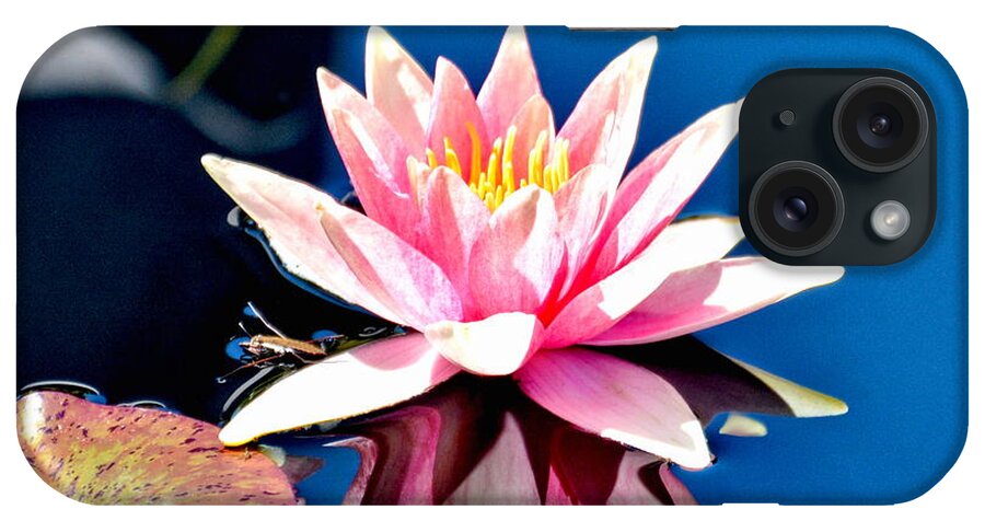 Water Lily Lily iPhone Case featuring the photograph Pink Water Lily with Reflection by Amy McDaniel