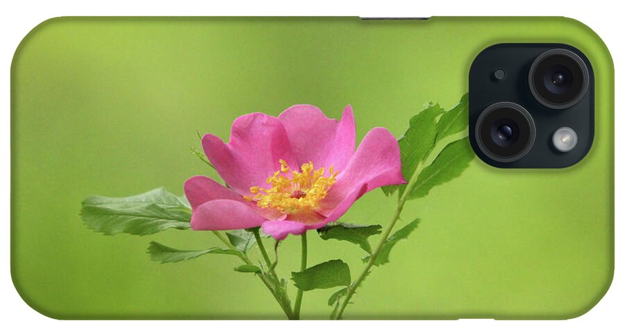 Rose iPhone Case featuring the photograph Pink Wild Rose by Debbie Oppermann