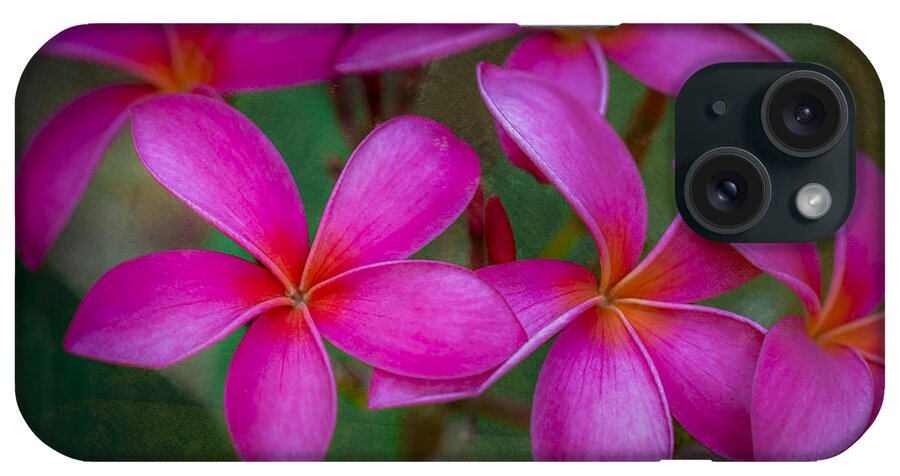 Pink iPhone Case featuring the photograph Pinkalicious by Jade Moon