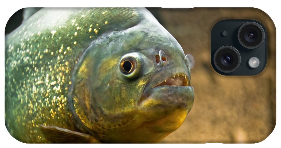 Aggressive iPhone Case featuring the photograph Piranha by Yurix Sardinelly