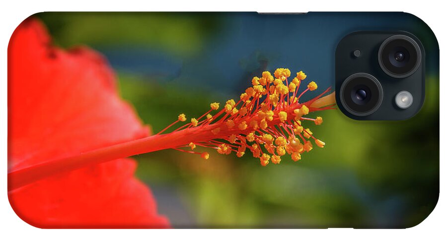 Hibiscus iPhone Case featuring the photograph Pistil Of Hibiscus by Robert Bales
