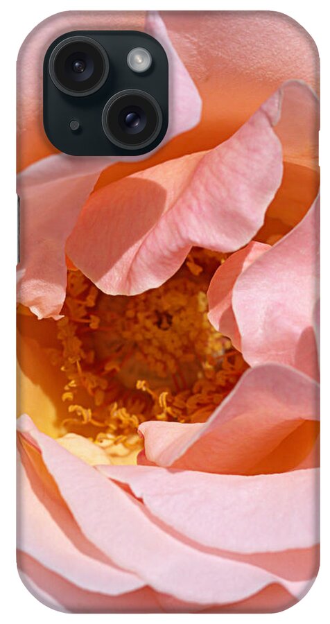 Portland Or iPhone Case featuring the photograph Pittock Mansion Rose by Joseph Skompski
