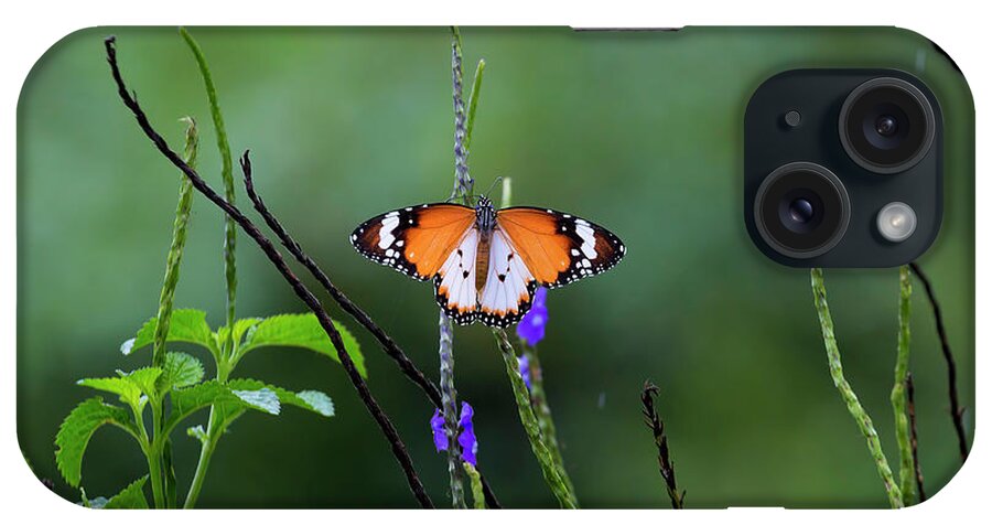 Danaus Chrysippus iPhone Case featuring the photograph Plain Tiger Butterfly by David Gn