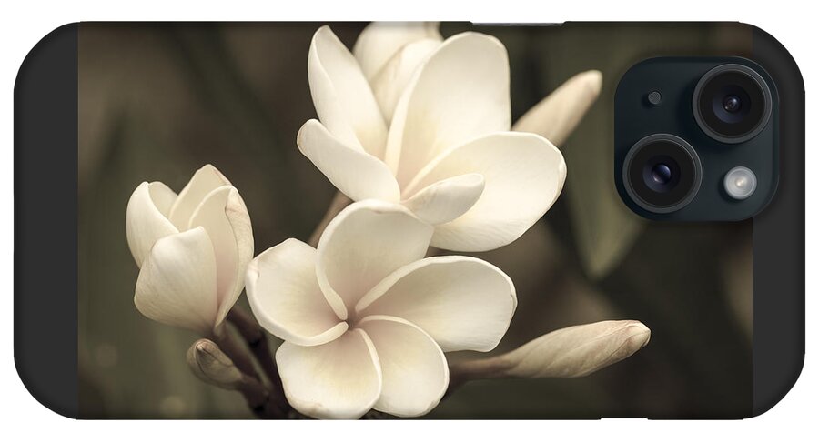 Flower Of The Day iPhone Case featuring the photograph Plumeria Sepia by Jade Moon