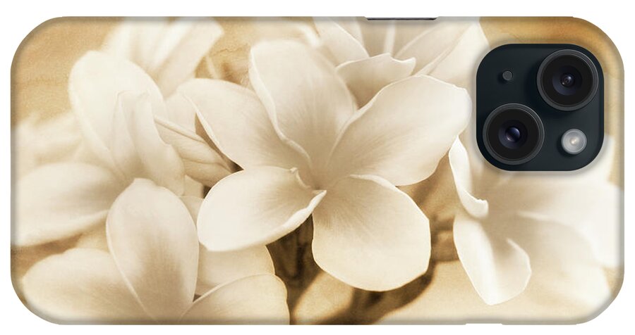 Plumerias iPhone Case featuring the photograph Plumerias in Cream and Brown by Jade Moon
