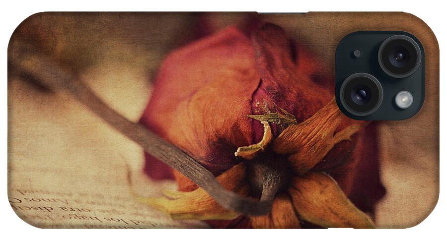 Peach Rose iPhone Case featuring the photograph Poetry by Maria Angelica Maira