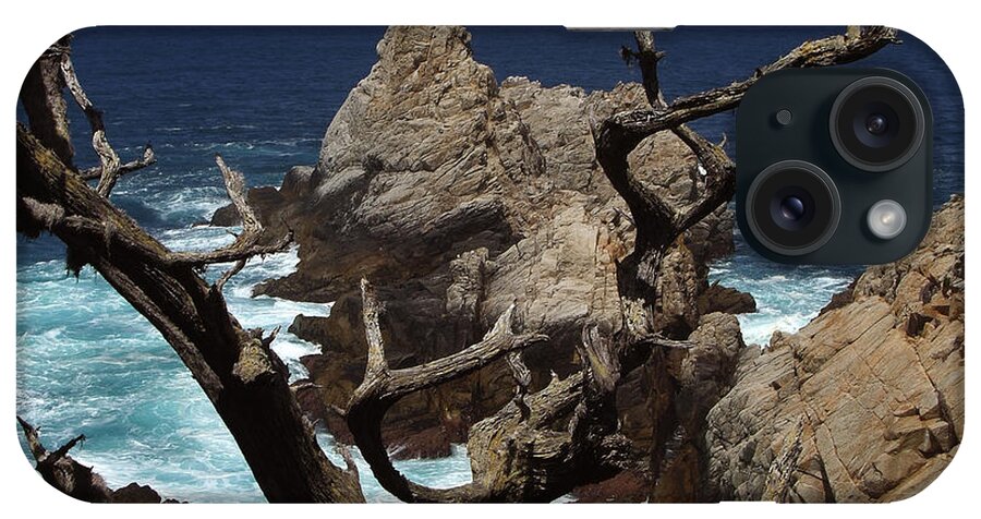 Carmel iPhone Case featuring the photograph Point Lobos Rocks and Branches by Charlene Mitchell