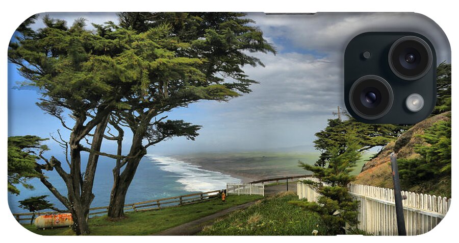 Point Reyes iPhone Case featuring the photograph Point Reyes Windblown Cypress by Adam Jewell