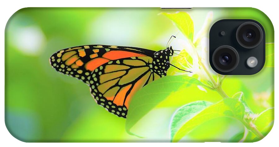 Butterflies iPhone Case featuring the photograph Poka Dots by Merle Grenz