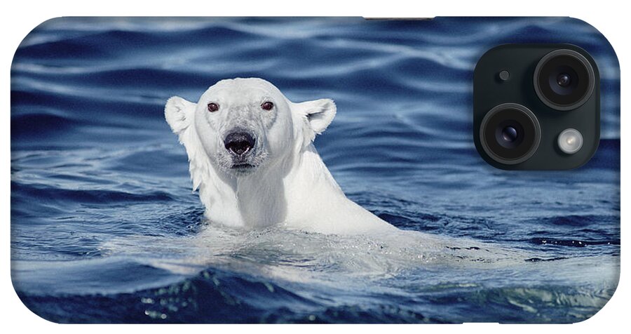 Mp iPhone Case featuring the photograph Polar Bear Swimming Baffin Island Canada by Flip Nicklin
