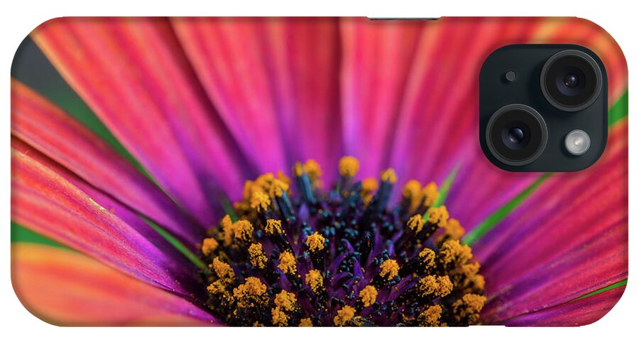 Daisy iPhone Case featuring the photograph Pollen by Keith Hawley