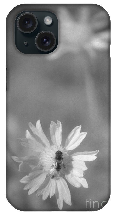 Pollinate iPhone Case featuring the photograph Pollination by Richard Rizzo