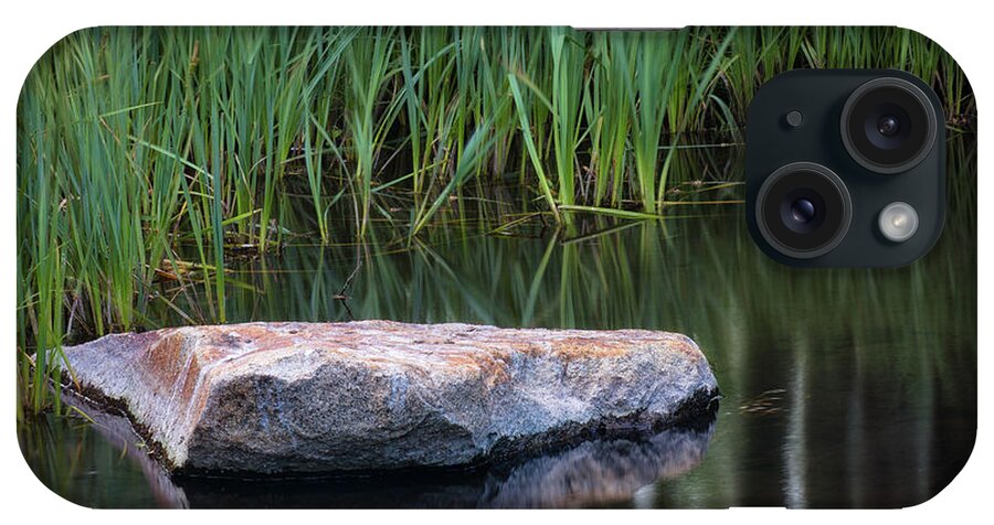 Pond iPhone Case featuring the photograph Pond by Anthony Michael Bonafede