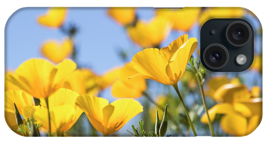 Poppies iPhone Case featuring the photograph Poppies and sky by Ruth Jolly