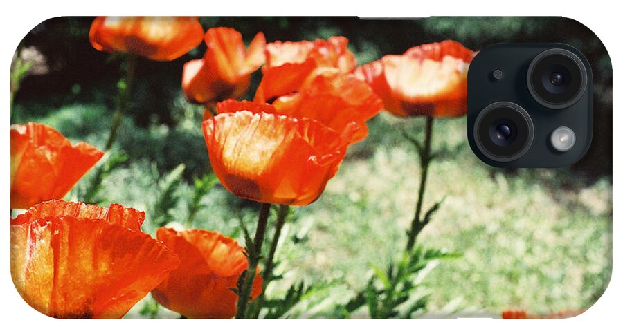 Flowers iPhone Case featuring the photograph Poppies by Ric Bascobert