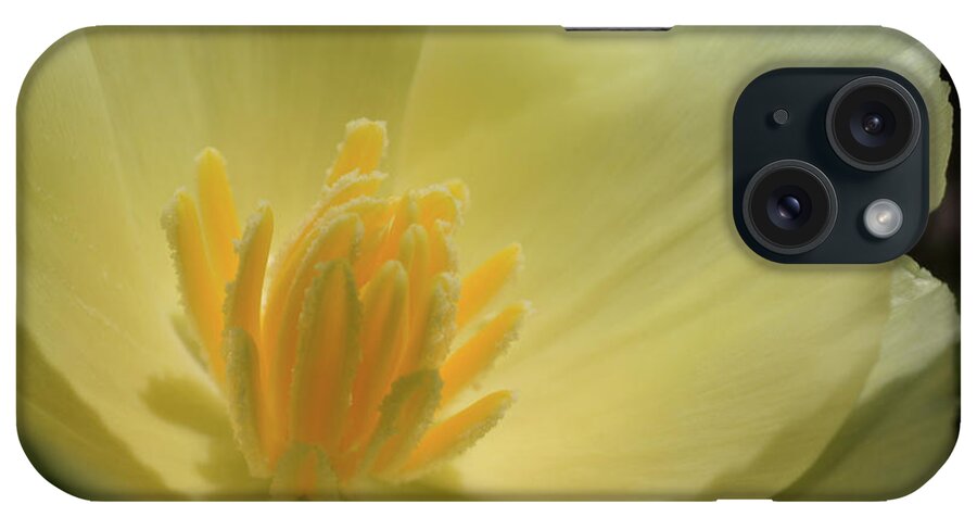Poppy iPhone Case featuring the photograph Poppy Closeup by Janet DeLapp