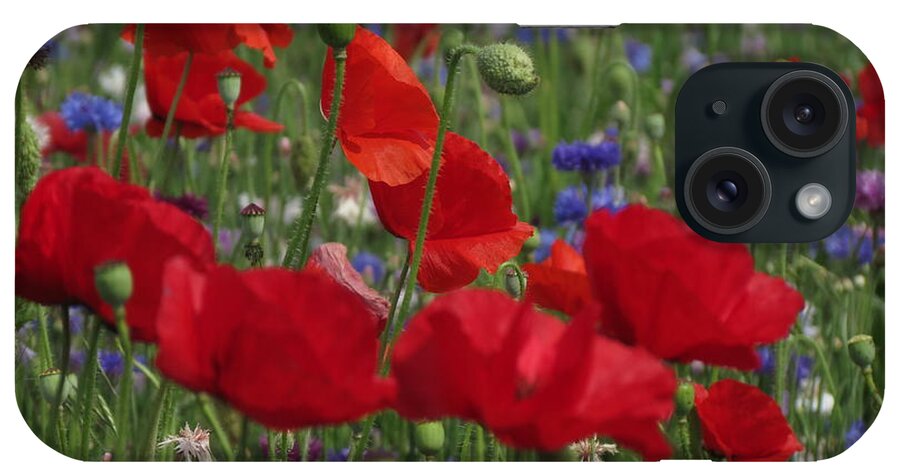 Poppies iPhone Case featuring the photograph Poppy Field by Vijay Sharon Govender