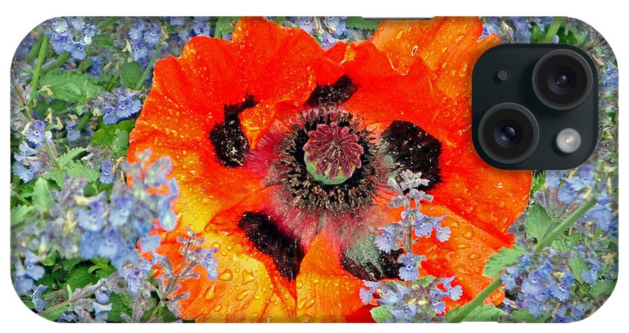 Poppy iPhone Case featuring the photograph Poppy in Blue by Robert Meyers-Lussier