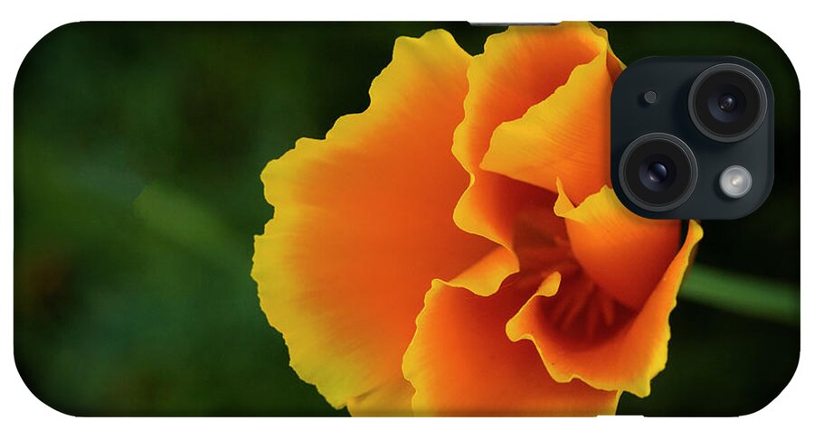 Nature iPhone Case featuring the photograph Poppy Orange by Steven Clark