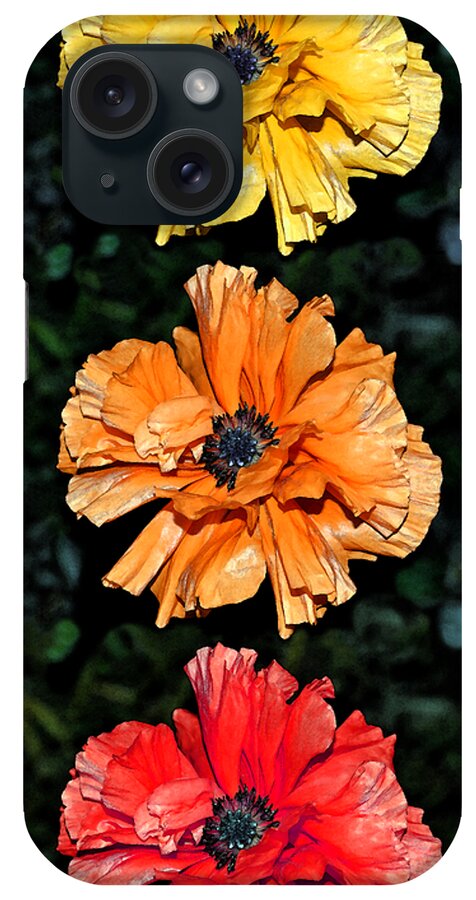 Poppy Seed iPhone Case featuring the photograph Poppy Poppy Poppy by Angelina Tamez