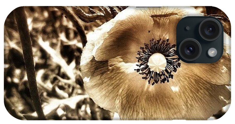 Cf_graphics iPhone Case featuring the photograph Poppy by Tanya Gordeeva