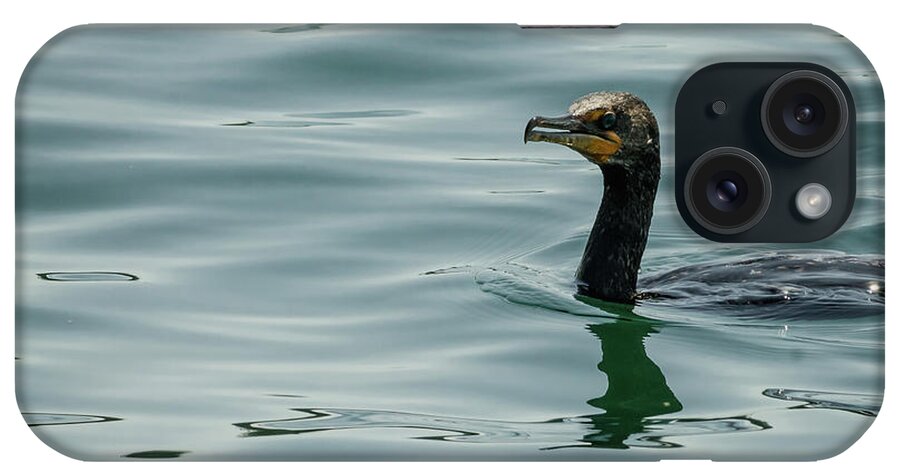 Wildlife iPhone Case featuring the photograph Portrait of a cormorant by Claudia M Photography
