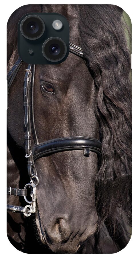 Portrait Of A Friesian iPhone Case featuring the photograph Portrait Of A Friesian by Wes and Dotty Weber