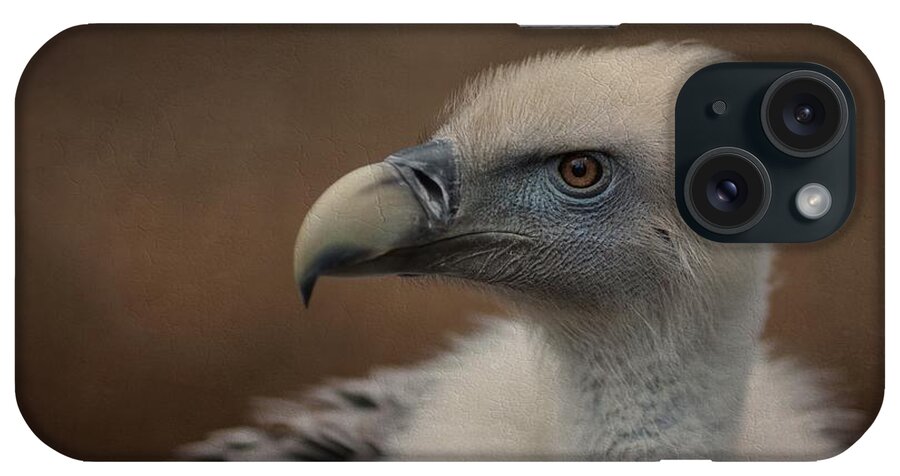 Griffon Vulture iPhone Case featuring the photograph Portrait of a Griffon Vulture by Eva Lechner