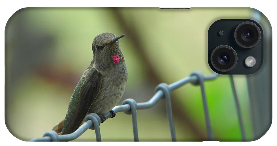 Hummingbird iPhone Case featuring the photograph Portrait Of A Hummingbird by Donna Blackhall