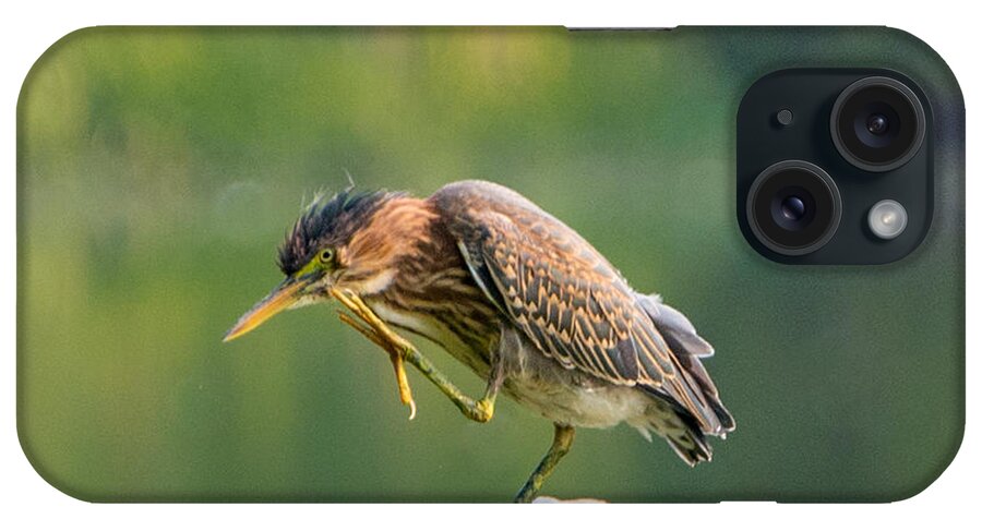 Heron iPhone Case featuring the photograph Posing Heron by Jerry Cahill