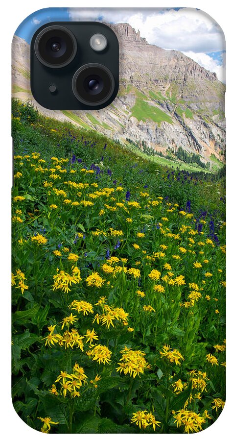 Wildflowers iPhone Case featuring the photograph Potosi Peak by Aaron Spong