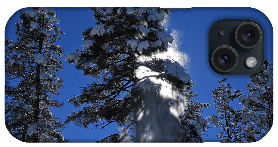 Trees iPhone Case featuring the photograph Powderfall by Gary Kaylor