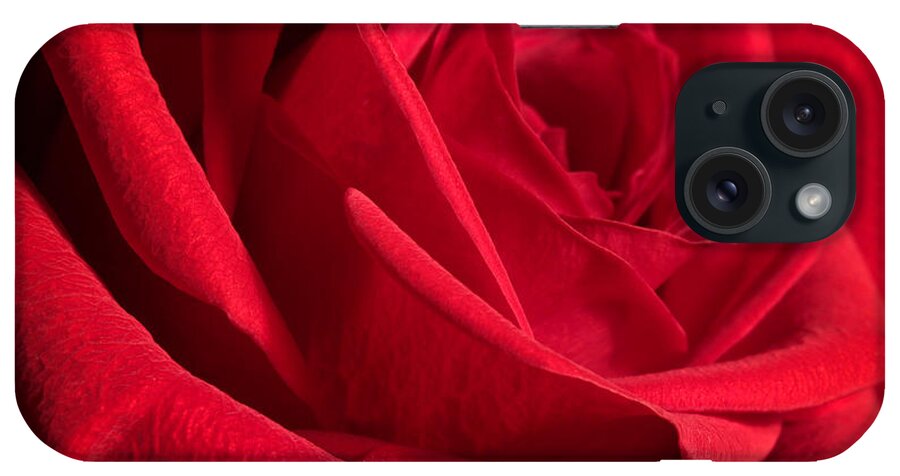 Rose iPhone Case featuring the photograph Power of Love by Anita Oakley