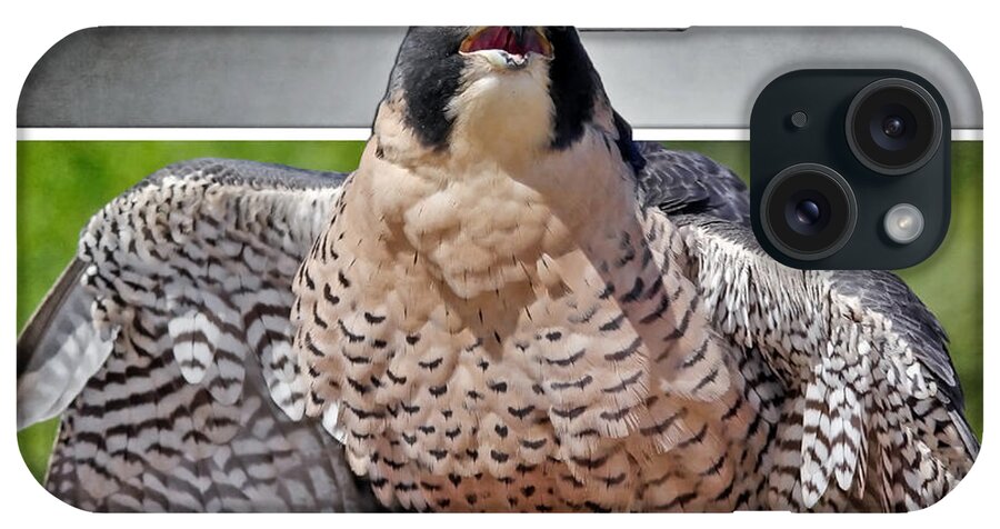 Falcons iPhone Case featuring the photograph Prairie Falcon by Elaine Malott